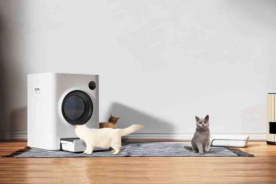 automatic kitty litter